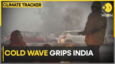 India: Delhi Shivers In Cold Wave Amid Dense Fog | World News | Climate Tracker | WION