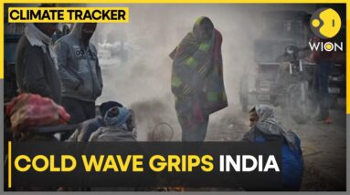 India: Delhi Shivers In Cold Wave Amid Dense Fog | World News | Climate Tracker | WION