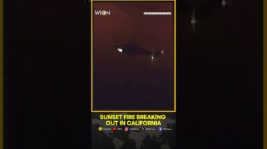 Aerials Show Sunset Fire Breaking Out In Hollywood Hills, California | WION Shorts