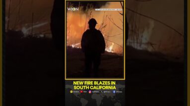 California Wildfire 2025: Wildfires Continue In Southern California | WION Shorts