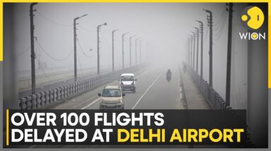 India: Delhi Shivers In Cold Wave Amid Dense Fog | World News | WION