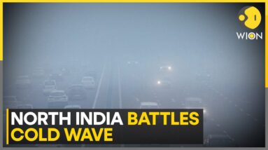 India: Delhi Wakes Up to Fog, Slight Warm-Up Expected | World News | WION