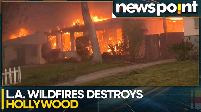 California Wildfire: Los Angeles At Risk Of Further Flare-Ups | World News | WION Newspoint