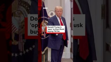 Donald Trump is "open" to Elon Musk buying TikTok. #ElonMusk #DonaldTrump #TikTok #BBCNews