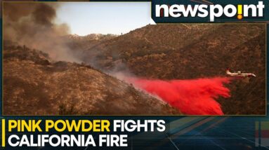 What Is The Pink Powder Being Used To Fight California Fires? | WION Newspoint