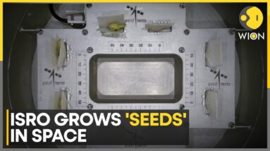 ISRO Grows Crops In Space | World News | WION