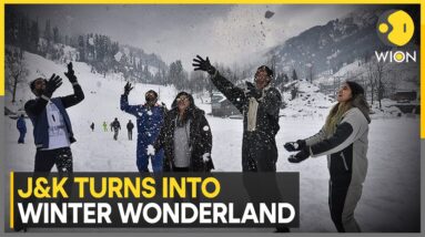 Jammu & Kashmir: Tourists Enjoy Fresh Spell Of Snowfall | World News | WION