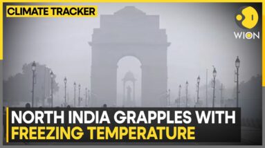 Light Rain Forecast For Today In North India | WION Climate Tracker