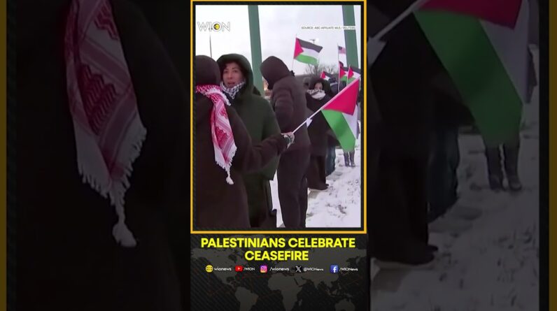 Gaza Ceasefire Deal: Illinois Palestinian Hosts Rally Celebrating Ceasefire Deal | WION Shorts