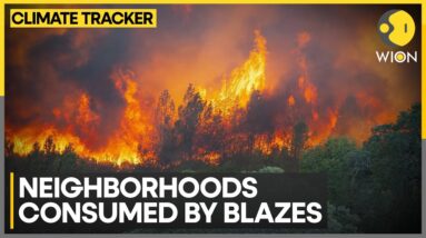 Los Angeles Wildfire: 400 Members Of US National Guard Deployed To Battle Disorder |Climate Tracker