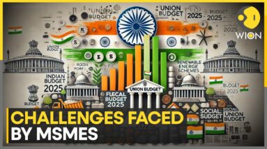 MSME Sector's Wishlist From India's Budget | World News | WION