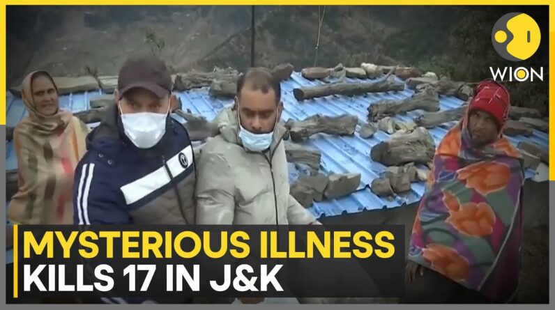 Mysterious Illness Kills 17 In Jammu And Kashmir | World News | WION