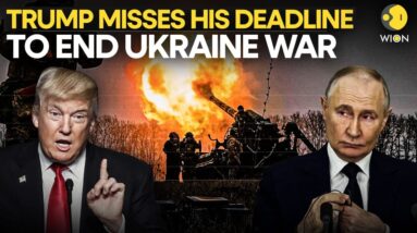 Donald Trump Promised To End Russia-Ukraine War Within 24 Hours, Where Is The Deal? | WION Originals