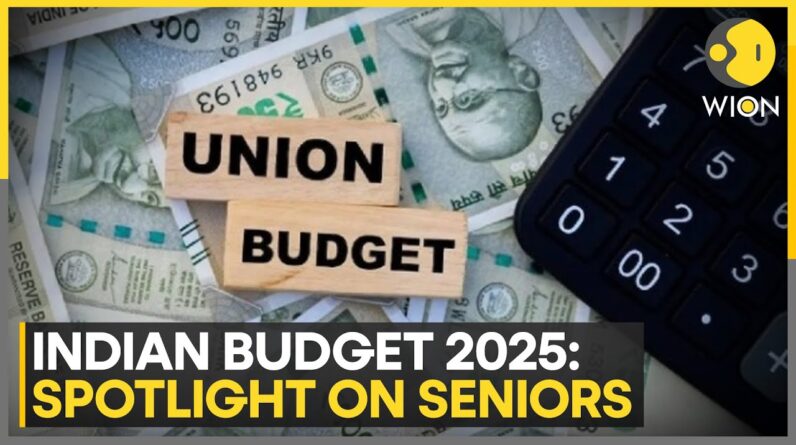 India Budget 2025: What Does Senior Citizens Want? | Budget 2025 | World News