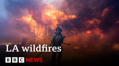 Thousands told to abandon Los Angeles homes as three wildfires rip through suburbs | BBC News