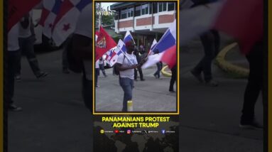 Panamanians protest against Trump's threats to take canal control | WION Shorts