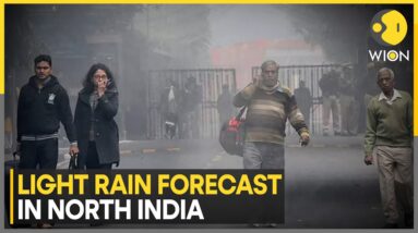 North India Grapples With Freezing Temperature | World News | WION