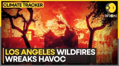 Los Angeles Wildfire: Uncontained Wildfires Devastate California | World News | WION Climate Tracker