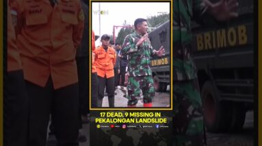 Pekalongan Landslide: 17 dead, 9 missing | WION Shorts