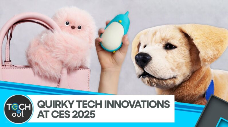 Quirky Devices Standsout At CES 2025 | Tech It Out | WION