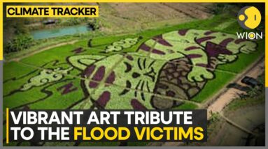 Rice Fields Honour Flood Survivors In Northern Thailand | WION Climate Tracker | World News