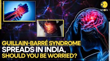 GBS Outbreak: Maharashtra Reports First Suspected Death, Cases Rise | What Is GBS? | WION Originals