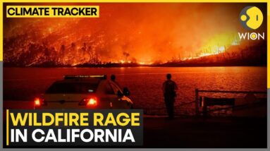 Raging Wildfires In California | World News | WION Climate Tracker