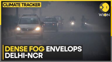 India Weather Forecast: Rainy Week Ahead For North And South India | WION Climate Tracker