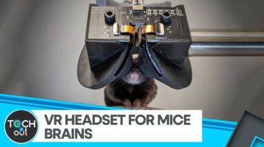 Researchers Study Mice Brains With VR Goggles | Tech It Out