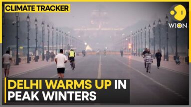 Rising Temperatures, Fog Impact Delhi Travel | WION Climate Tracker