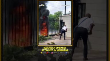 Kinshasa Protesters Attack Rwandan Embassy Over Fighting In The East | WION Shorts