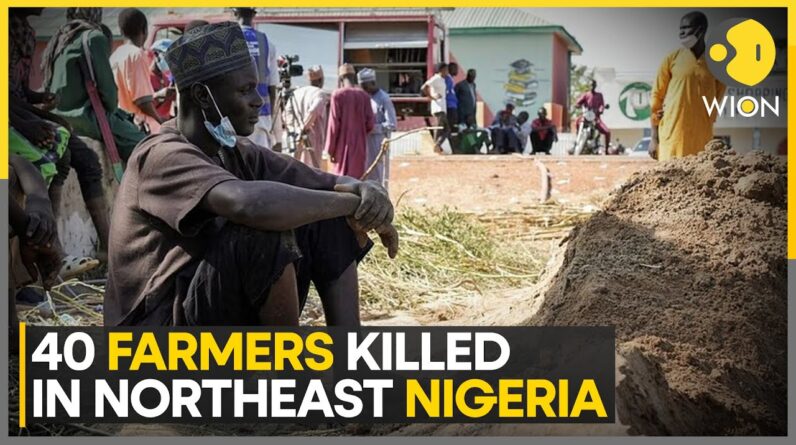 Nigeria: 40 Farmers Killed By Boko Haram Militants In Northeast Nigeria | World News | WION