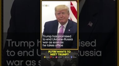 Donald Trump Hints At Meeting Vladimir Putin, Arrangements Underway | WION Shorts