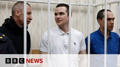 Russia jails lawyers who acted for late opposition leader Alexei Navalny | BBC News