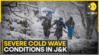 India: Severity of Cold Wave Intensifies Across J&K and Ladakh | World News | WION