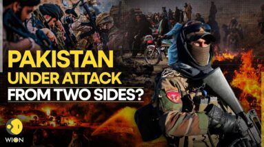 Pakistan Taliban: Afghanistan's Taliban And Pakistan's Forces Tit for Tat Battle Intensifies | WION