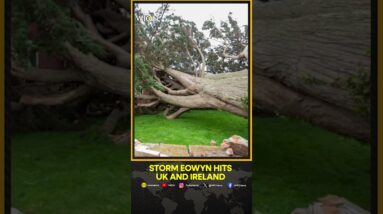 Storm Eowyn Hits the Uk And Ireland With Record Winds | WION Shorts