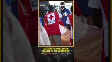 Sudan: Plane Crash Killed 20 Oil Workers | WION Shorts