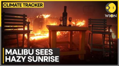 Los Angeles Wildfire: Sun Rises In Malibu As Wildfire Smoke Shrouds Sky | WION Climate Tracker