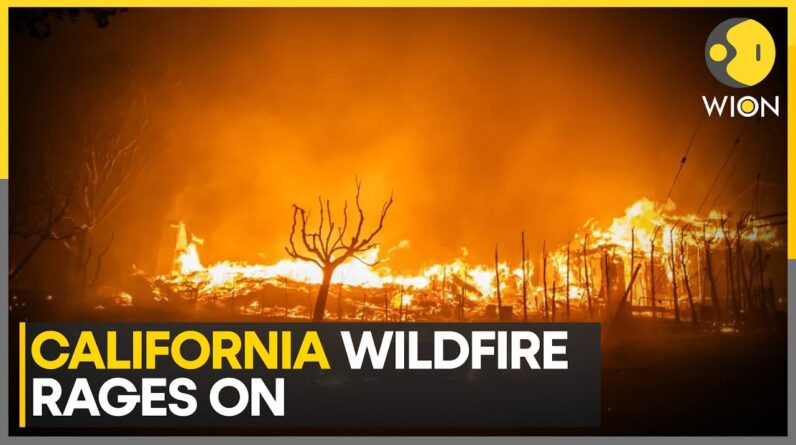 Los Angeles Wildfire: Critics Choice Awards Postponed, Oscar Nominations Delayed | World News | WION