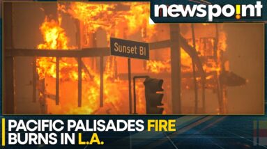 Los Angeles Wildfire: Extreme Weather, Suburban Sprawl Fuel Wildfires | World News | WION Newspoint