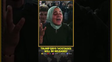 Trump Says There Is A Deal To Release Gaza Hostages | WION Shorts