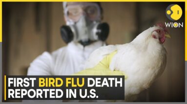 US Records First Human Death From Bird Flu | World News | WION