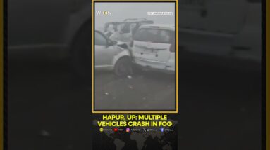 Hapur, UP: Multiple Vehicles Collide Due to Dense Fog on Delhi-Lucknow Highway | WION Shorts