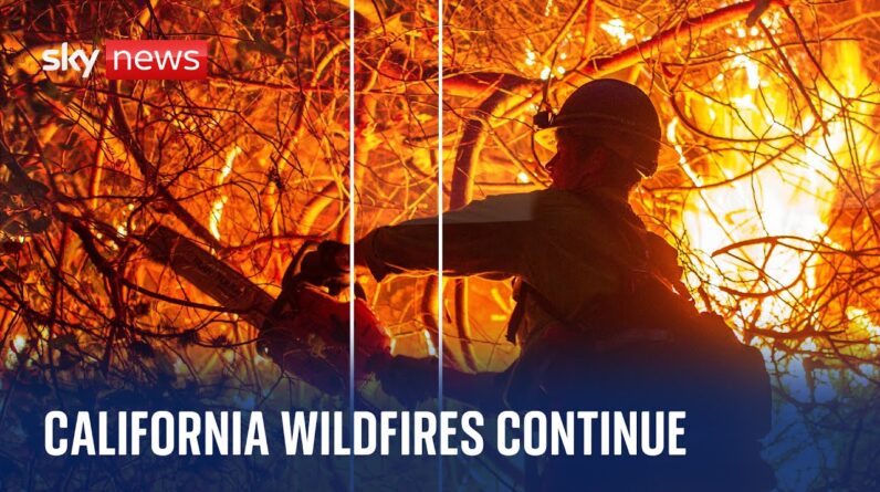 Watch live: Wildfires continue to rage on in Los Angeles