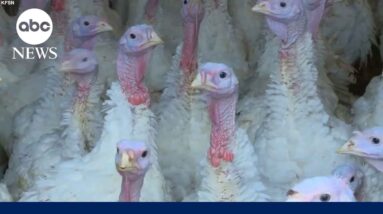 What health experts believe could happen with bird flu in 2025