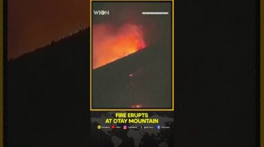 Wind-Fuelled Wildfire Erupts on California's Otay Mountain | WION Shorts