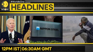 Over 400 Flights Delayed At Delhi Airport | 77 Killed In Last 24 Hours In Gaza | WION Headlines