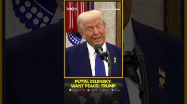 Trump says Putin, Zelensky want peace; phone calls kick off talks to end war | WION Shorts