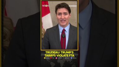 US-Canada Trade War: Trudeau Warns Trump Tariffs Harm U.S. Jobs, Security | WION Shorts